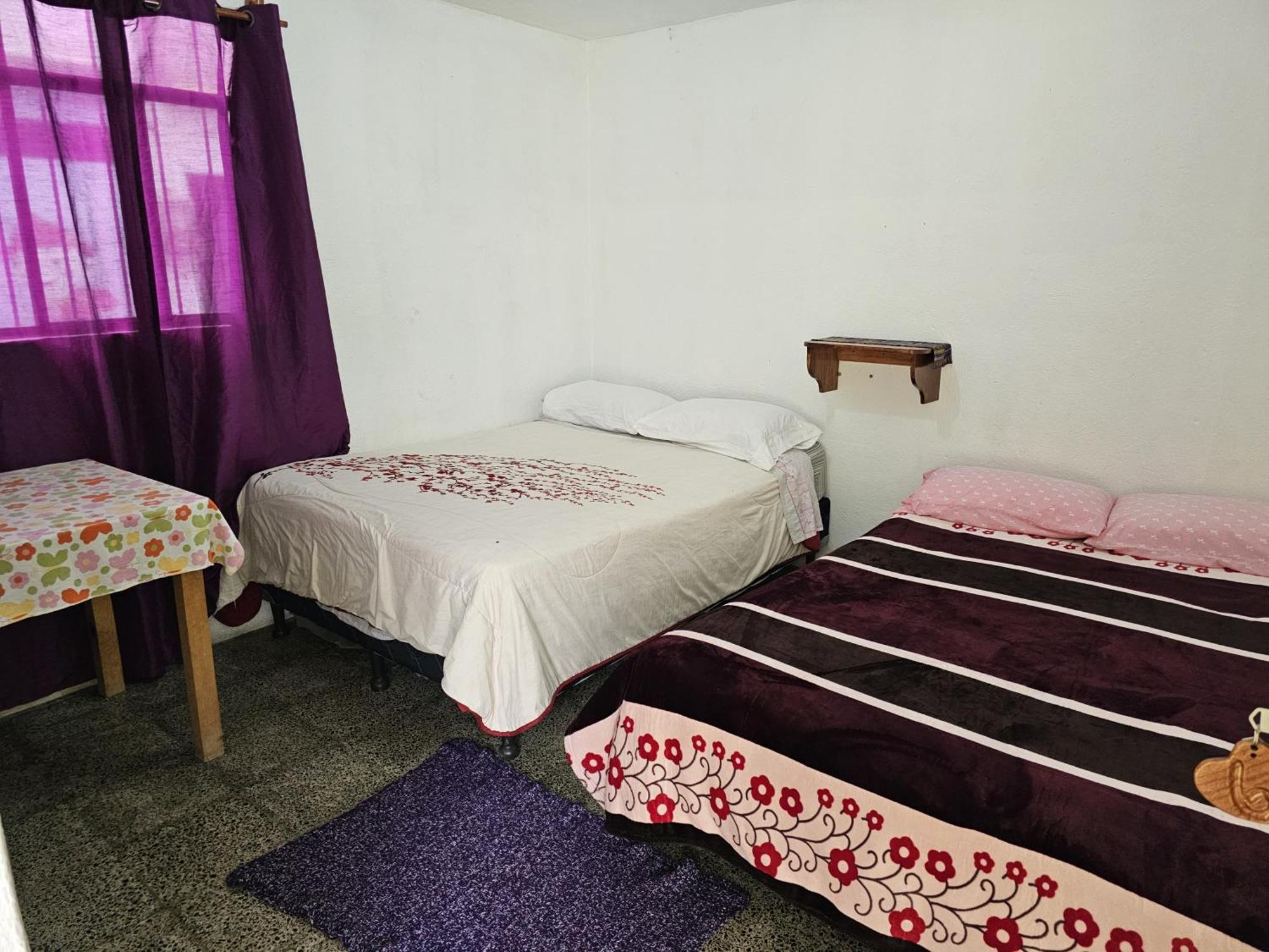 Hostal The Friends 帕纳哈切尔 外观 照片